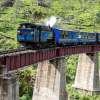 ooty-malai-rail