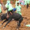 Palamedu-Jallikattu-2025-1-