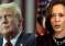 Kamala-Harris---Trump-2024-