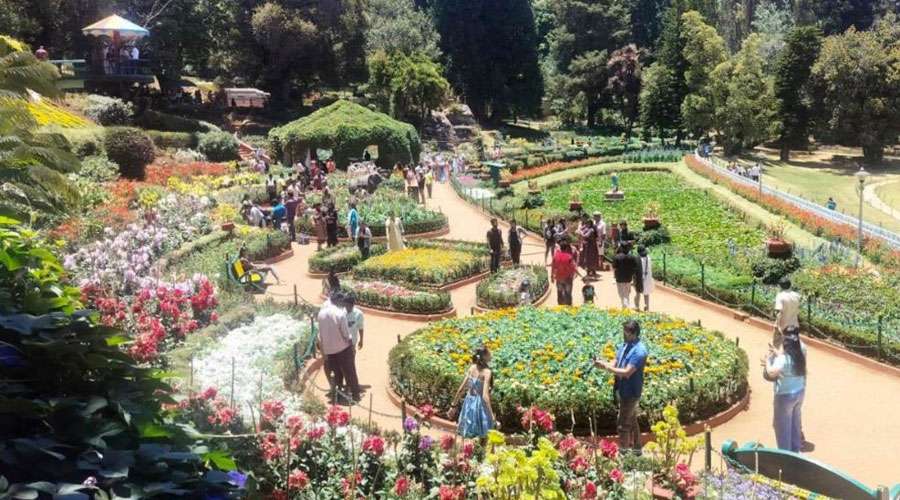 Ooty-flower-show-2024-04-28