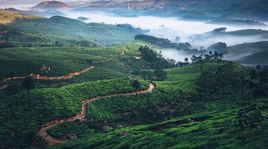 munnar