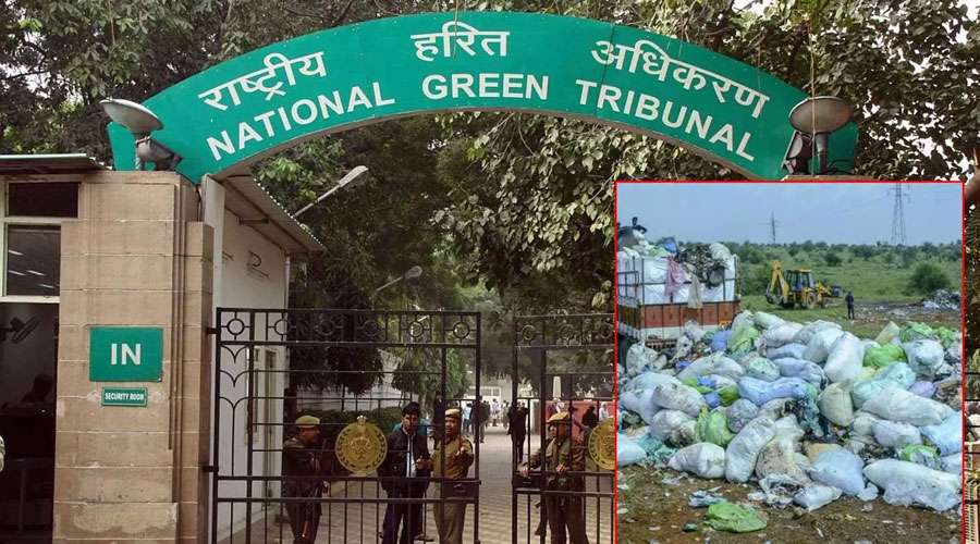 National-green-tribunal-202